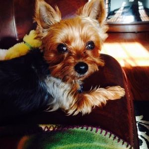 Meet your Posher, Mary ann